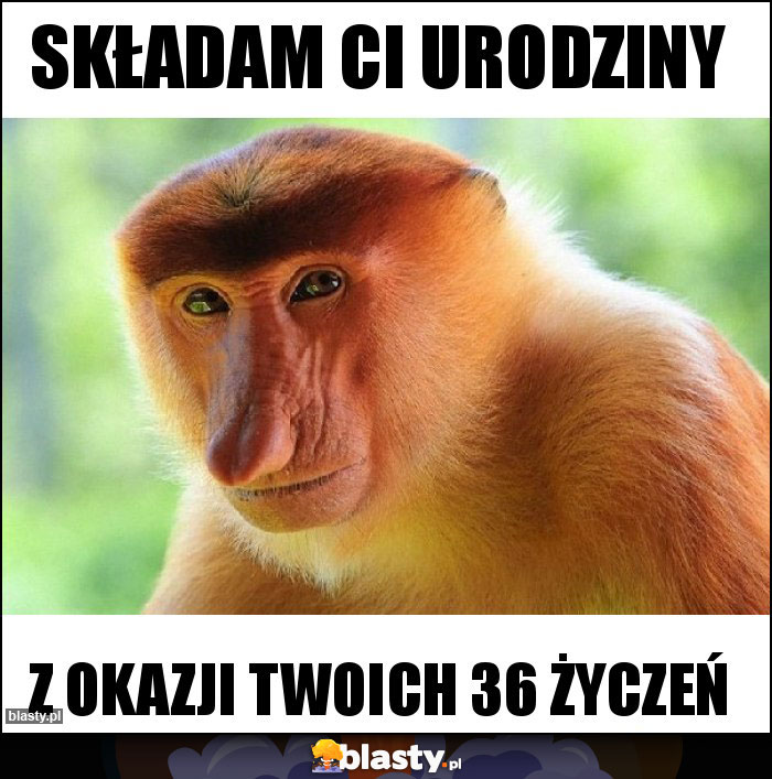 Składam Ci urodziny Składam Ci urodziny