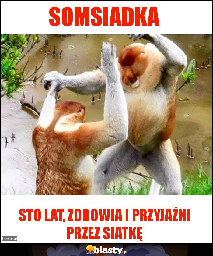 Somsiadka