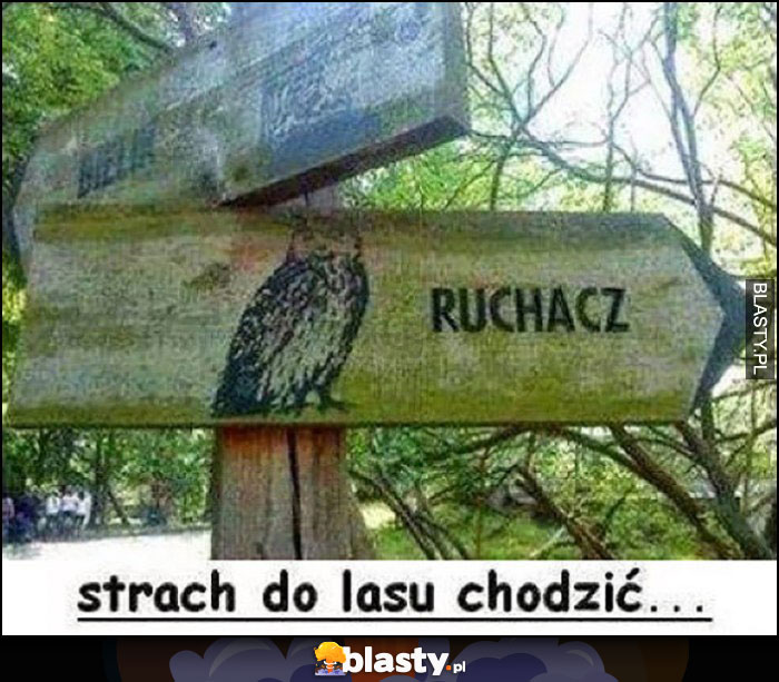 Sowa tabliczka kierunkowskaz puchacz zmienione na ruchacz, aż strach do lasu chodzić