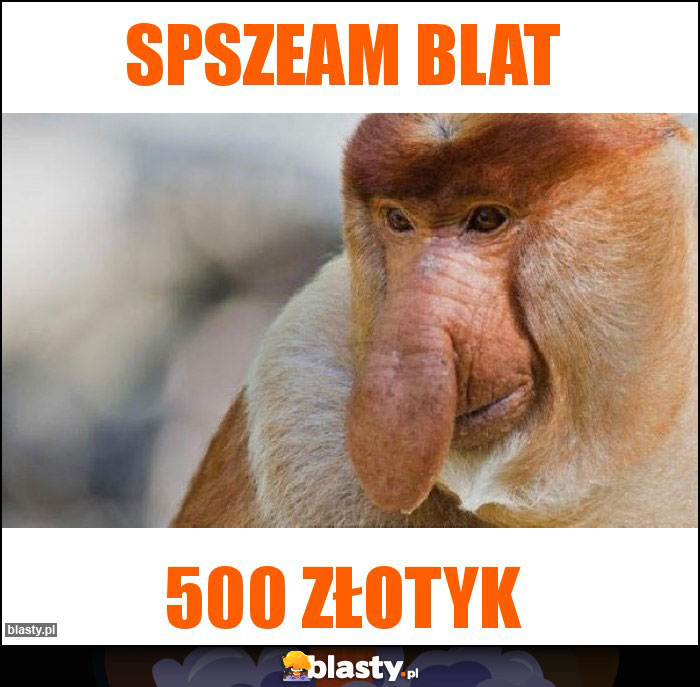 Spszeam blat Spszeam blat
