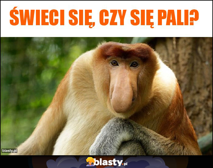 Świeci się, czy się pali? Świeci się, czy się pali?