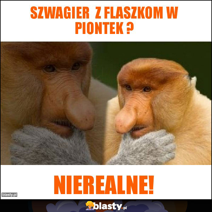 Szwagier z flaszkom w piontek ? Szwagier z flaszkom w piontek ?