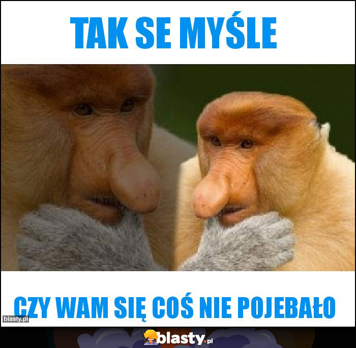 Tak se myśle Tak se myśle