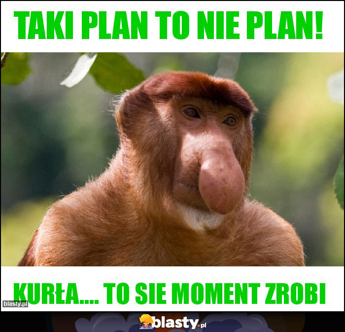 TAKI plan to nie plan! TAKI plan to nie plan!