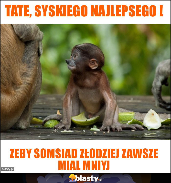 Tate, syskiego najlepsego ! Tate, syskiego najlepsego !