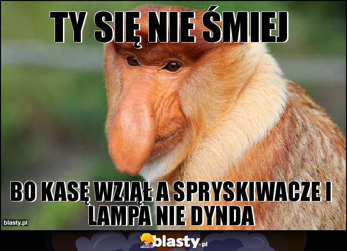 Ty się nie śmiej Ty się nie śmiej