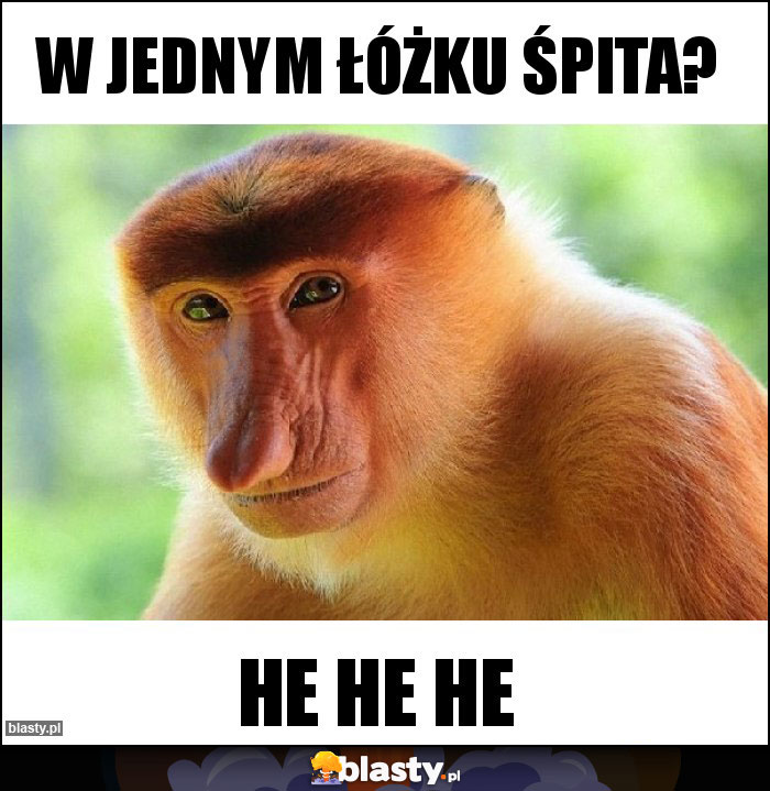 W jednym łóżku śpita? W jednym łóżku śpita?