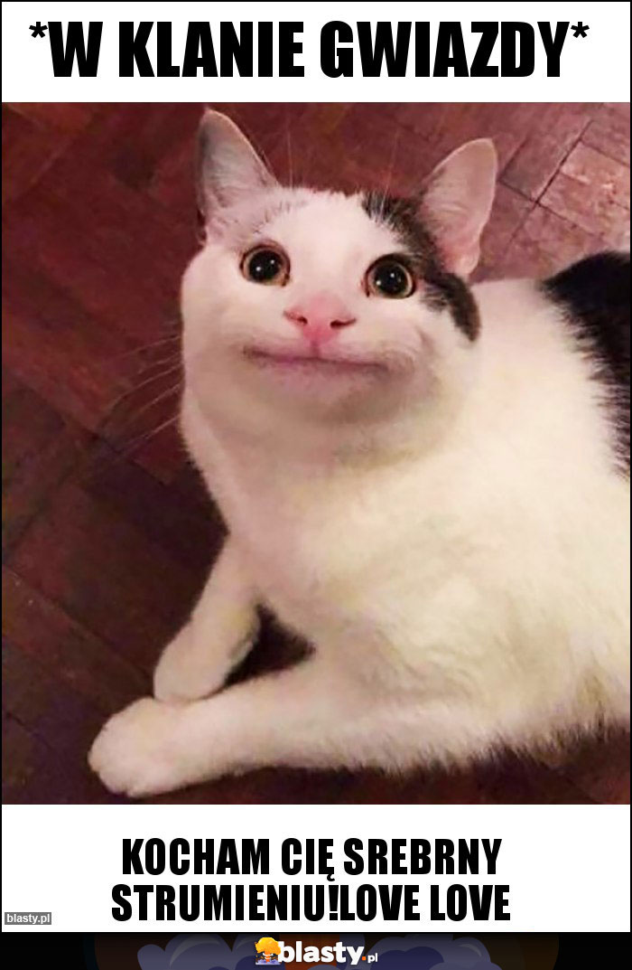 *w klanie gwiazdy* *w klanie gwiazdy*