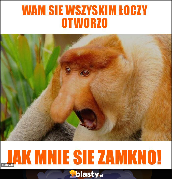 Wam sie wszyskim łoczy otworzo Wam sie wszyskim łoczy otworzo