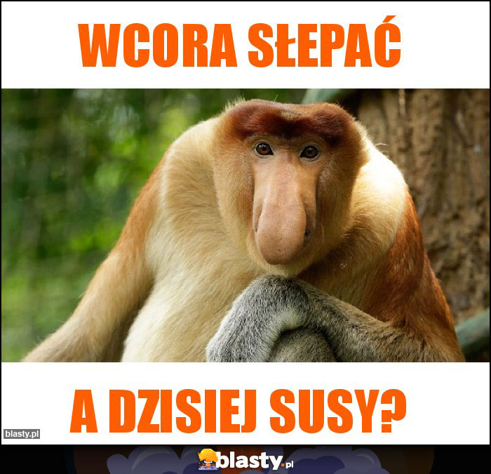 Wcora słepać Wcora słepać