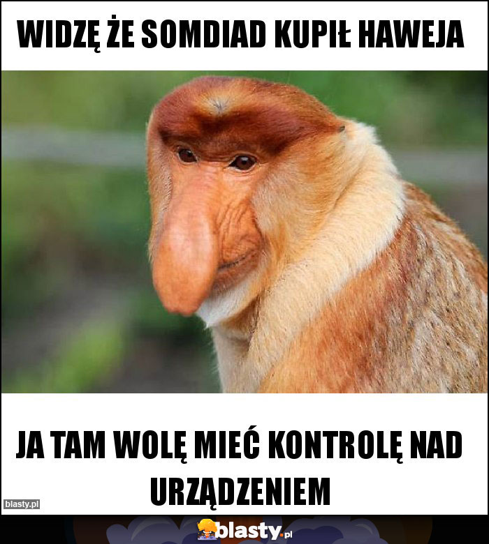 WIDZĘ ŻE SOMDIAD KUPIŁ Haweja WIDZĘ ŻE SOMDIAD KUPIŁ Haweja