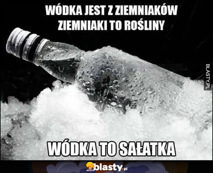 Wódka jest z ziemniaków, ziemniaki to rośliny, wódka to sałatka