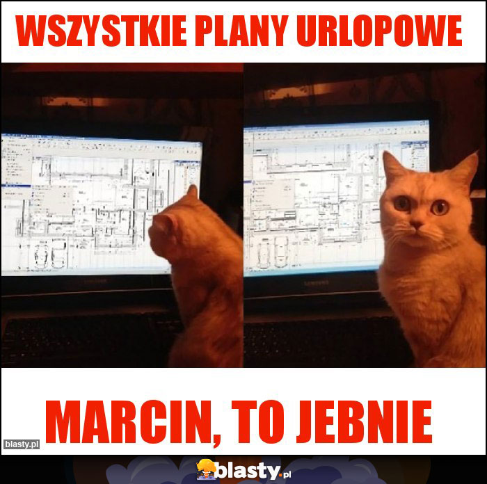 wszystkie plany urlopowe wszystkie plany urlopowe