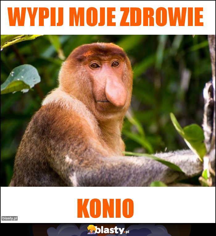Wypij moje zdrowie Wypij moje zdrowie
