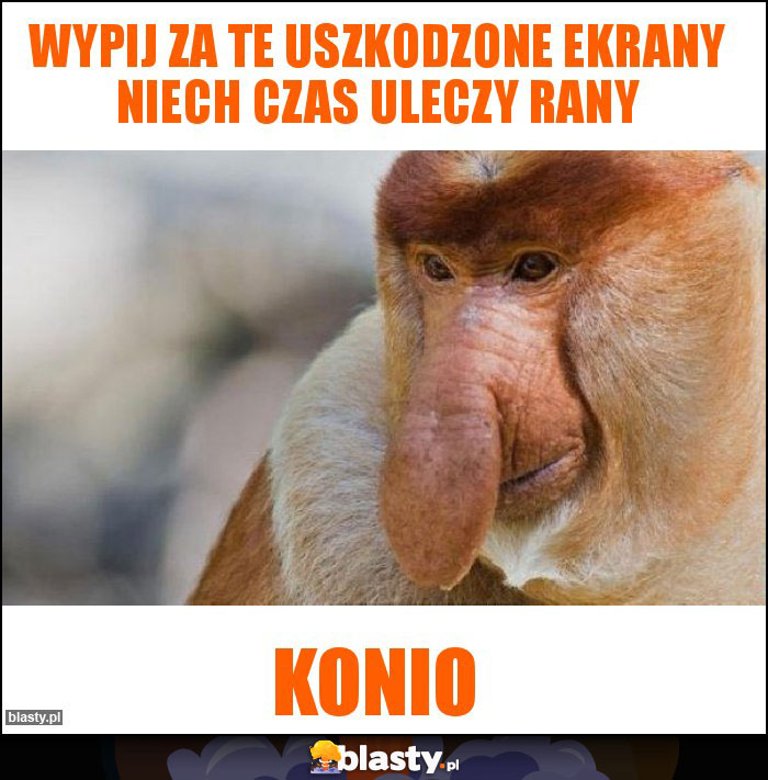 Wypij za te uszkodzone ekrany niech czas uleczy rany Wypij za te uszkodzone ekrany niech czas uleczy rany