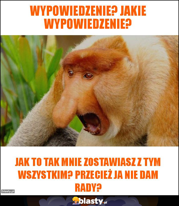 Wypowiedzenie? Jakie wypowiedzenie? Wypowiedzenie? Jakie wypowiedzenie?