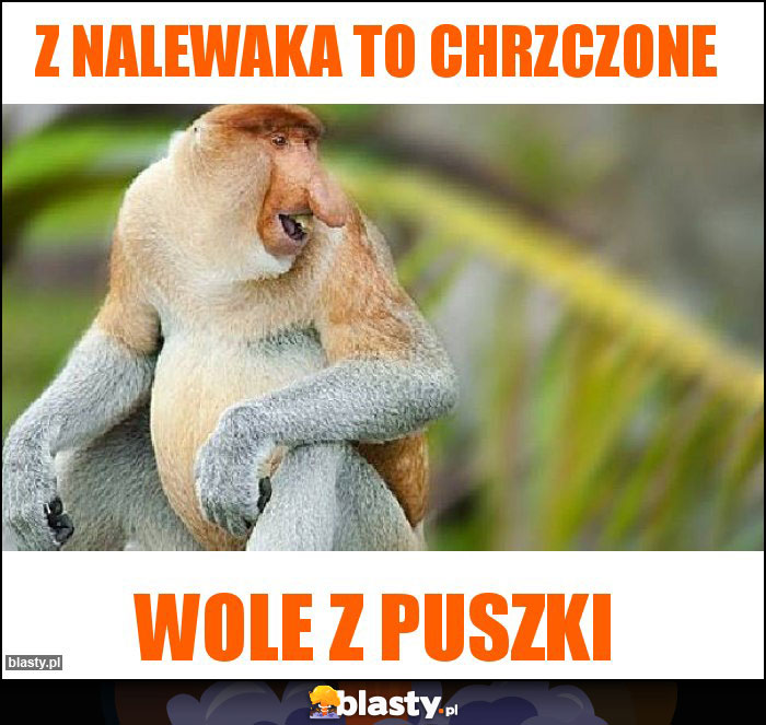 Z nalewaka to chrzczone Z nalewaka to chrzczone