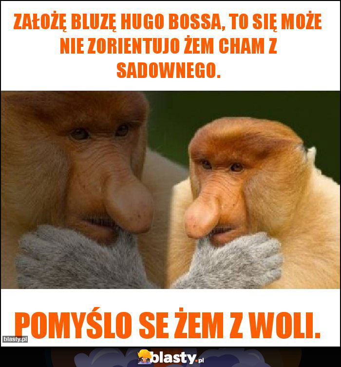Założę bluzę Hugo Bossa, to się może nie zorientujo żem cham z Sadownego. Założę bluzę Hugo Bossa, to się może nie zorientujo żem cham z Sadownego.