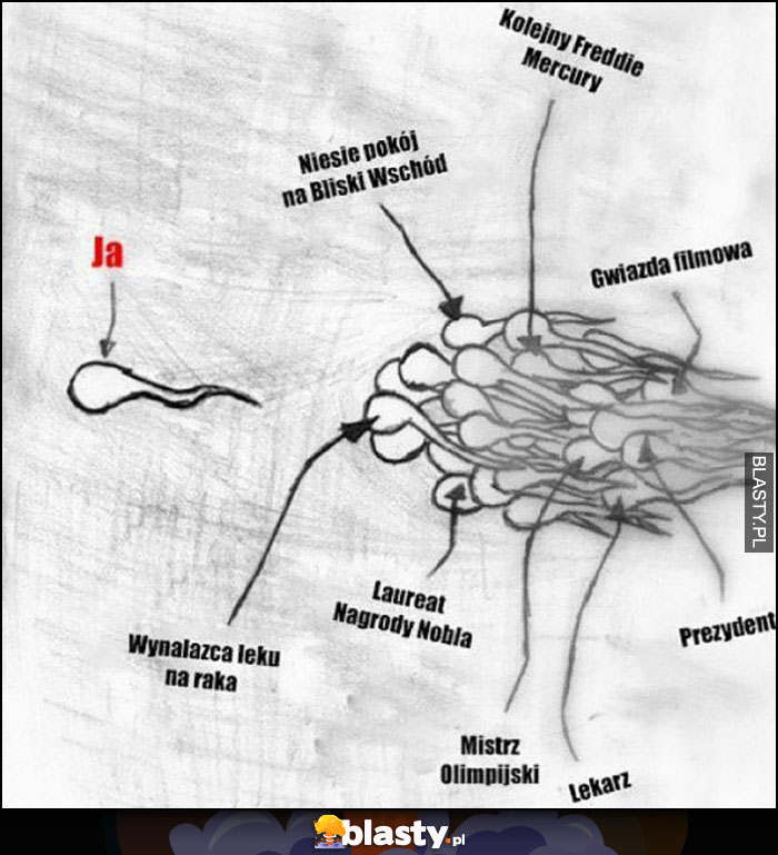 Zwycięski plemnik ja vs wynalazca leku na raka, laureat Nobla, prezydent, lekarz, mistrz olimpijski, gwiazda filmowa