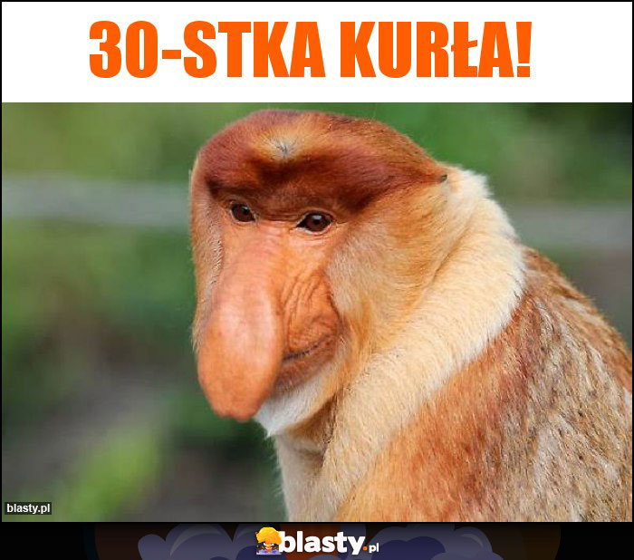 30-stka kurła! 30-stka kurła!