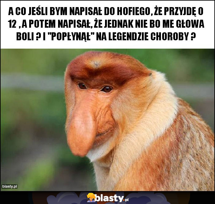 A co jeśli bym napisał do Hofiego, że przyjdę o 12 , a potem napisał, że jednak nie bo me głowa boli ? I A co jeśli bym napisał do Hofiego, że przyjdę o 12 , a potem napisał, że jednak nie bo me głowa boli ? I