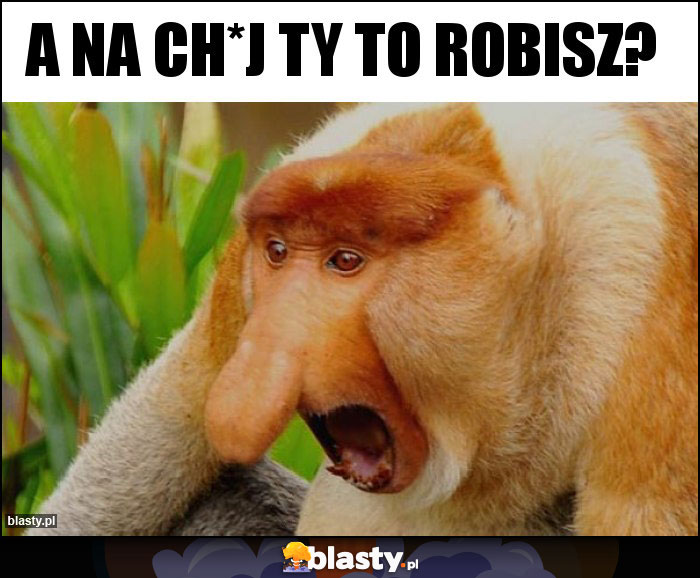 a na ch*j ty to robisz? a na ch*j ty to robisz?