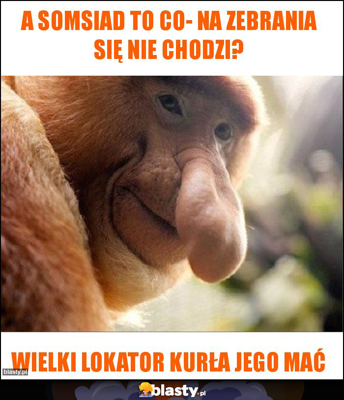 A somsiad to co- na zebrania się nie chodzi? A somsiad to co- na zebrania się nie chodzi?
