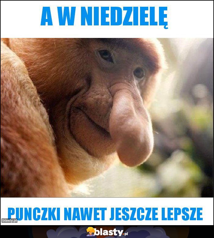 a w niedzielę a w niedzielę