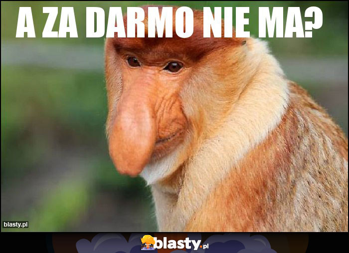 A ZA DARMO NIE MA? A ZA DARMO NIE MA?