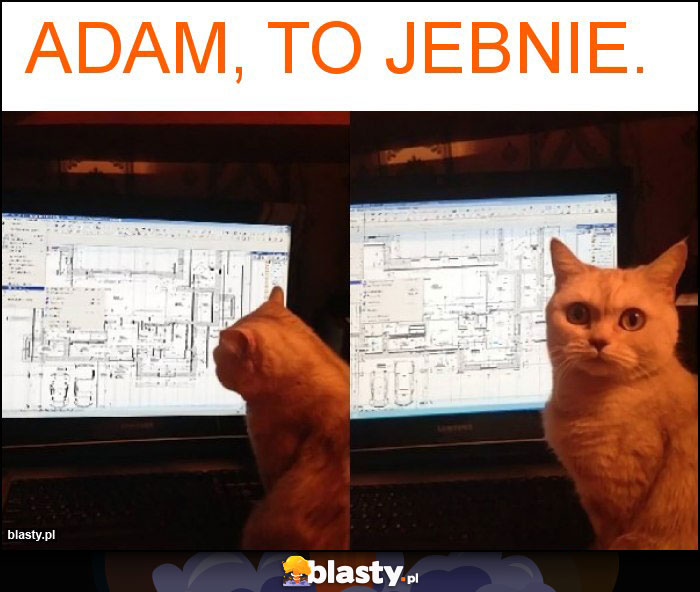 Adam, to jebnie.