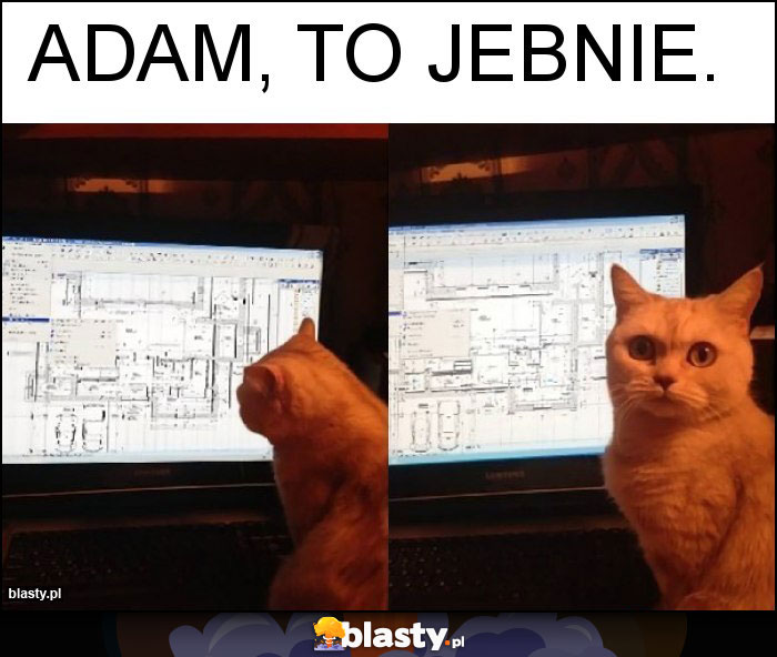Adam, to jebnie. Adam, to jebnie.