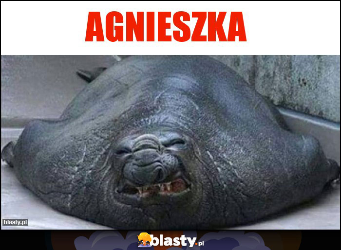 Agnieszka