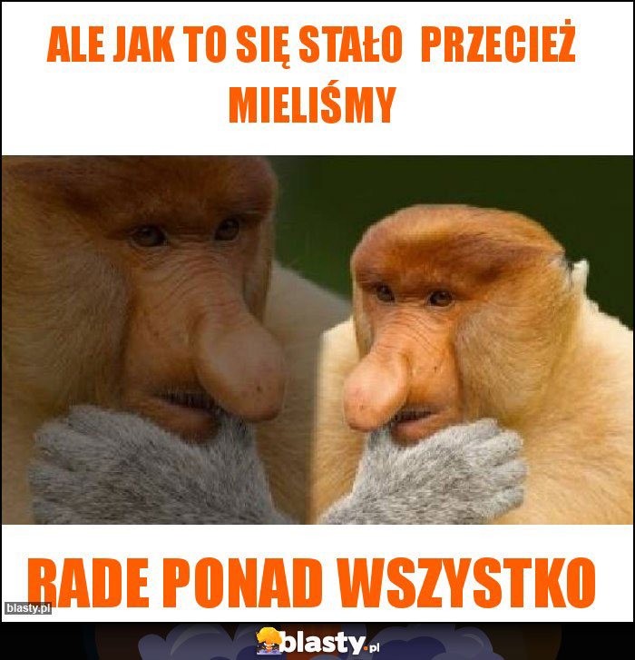 ALE JAK TO SIĘ STAŁO PRZECIEŻ MIELIŚMY ALE JAK TO SIĘ STAŁO PRZECIEŻ MIELIŚMY