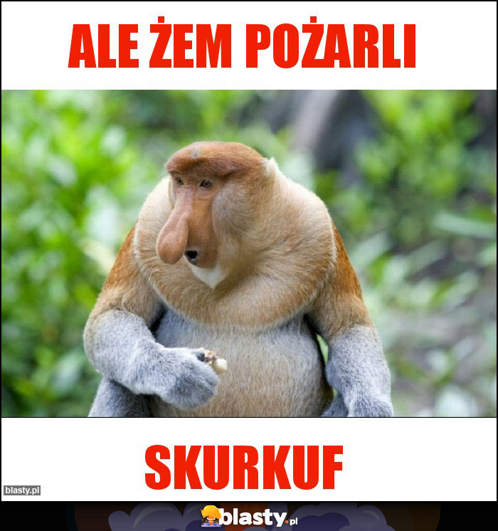 Ale żem pożarli Ale żem pożarli