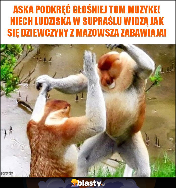 Aska podkręć głośniej tom muzyke! Niech ludziska w Supraślu widzą jak się dziewczyny z Mazowsza zabawiaja! Aska podkręć głośniej tom muzyke! Niech ludziska w Supraślu widzą jak się dziewczyny z Mazowsza zabawiaja!