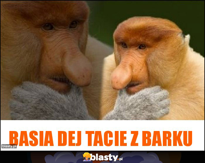 Basia dej tacie z barku Basia dej tacie z barku
