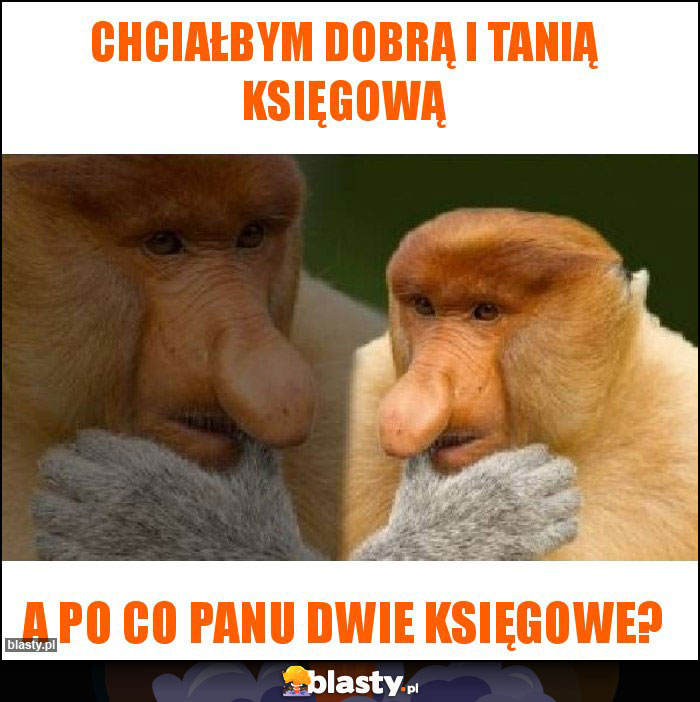 Chciałbym dobrą i tanią księgową Chciałbym dobrą i tanią księgową