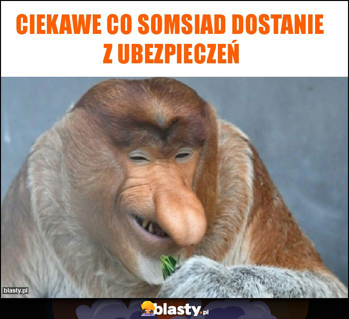 Ciekawe co somsiad dostanie z ubezpieczeń Ciekawe co somsiad dostanie z ubezpieczeń