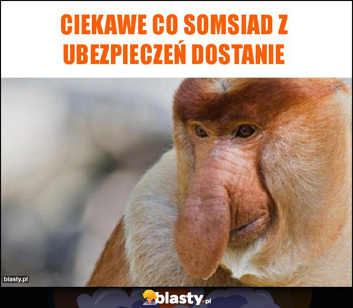 Ciekawe co somsiad z ubezpieczeń dostanie Ciekawe co somsiad z ubezpieczeń dostanie