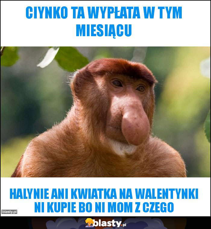 Ciynko ta wypłata w tym miesiącu Ciynko ta wypłata w tym miesiącu