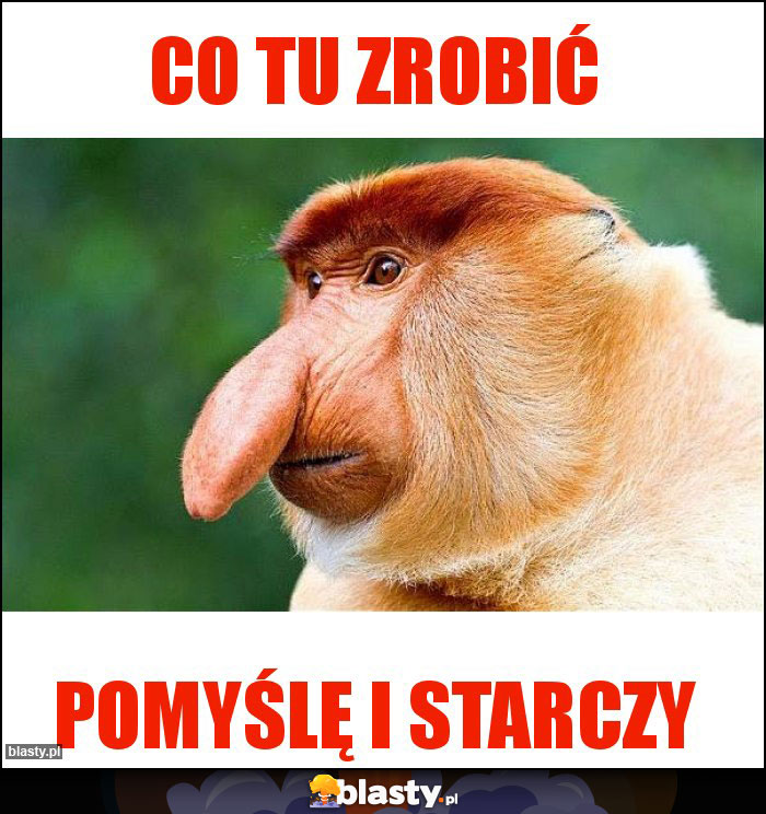 Co tu zrobić Co tu zrobić