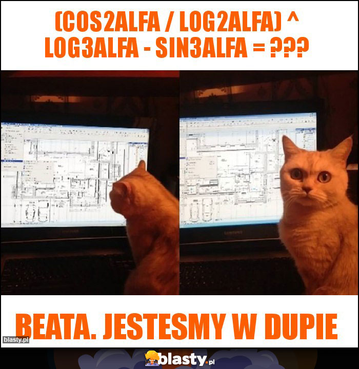 (Cos2alfa / log2alfa) ^ log3alfa - sin3alfa = ??? (Cos2alfa / log2alfa) ^ log3alfa - sin3alfa = ???