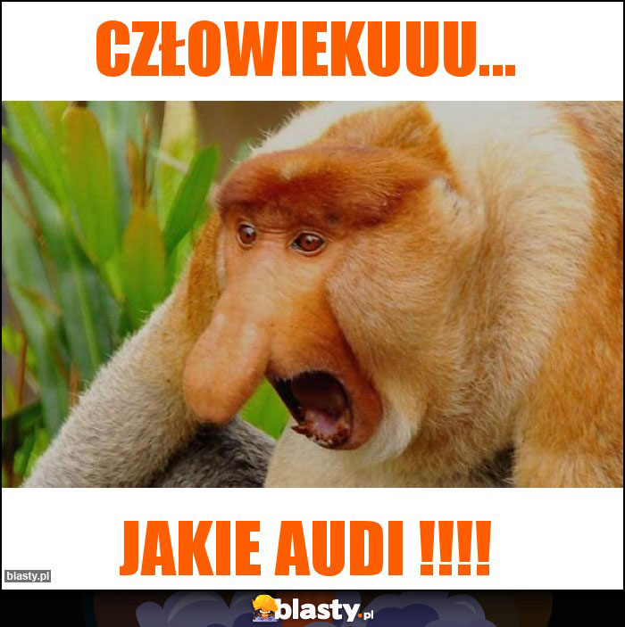 CZŁOWIEKUUU... CZŁOWIEKUUU...