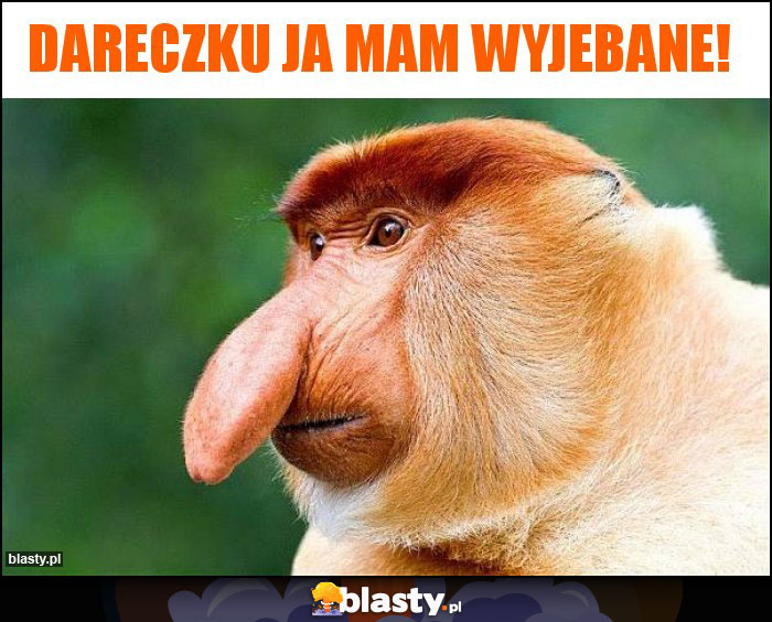 Dareczku ja mam Wyjebane! Dareczku ja mam Wyjebane!