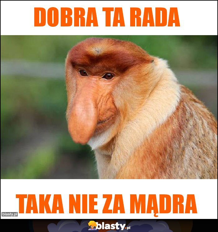 Dobra ta rada Dobra ta rada