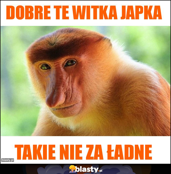 Dobre te witka japka Dobre te witka japka