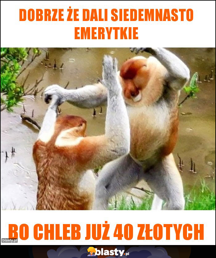 dobrze że dali siedemnasto emerytkie dobrze że dali siedemnasto emerytkie