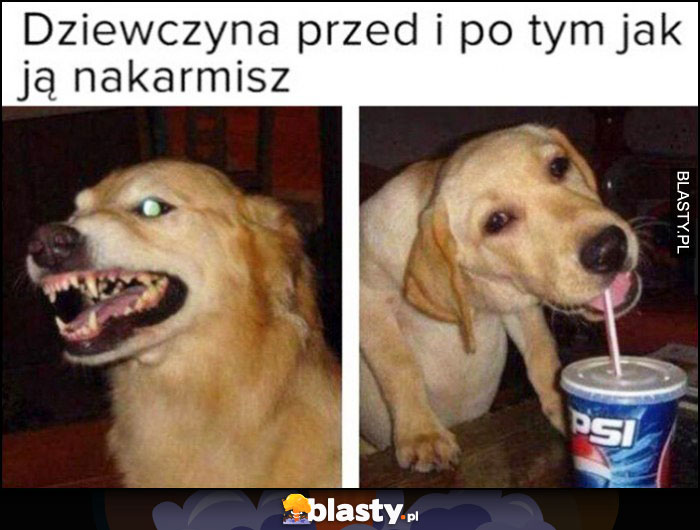 Dziewczyna przed i po tym jak ją nakarmisz pies zły zadowolony