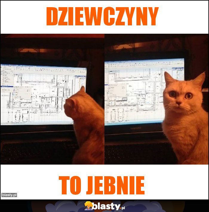 Dziewczyny Dziewczyny