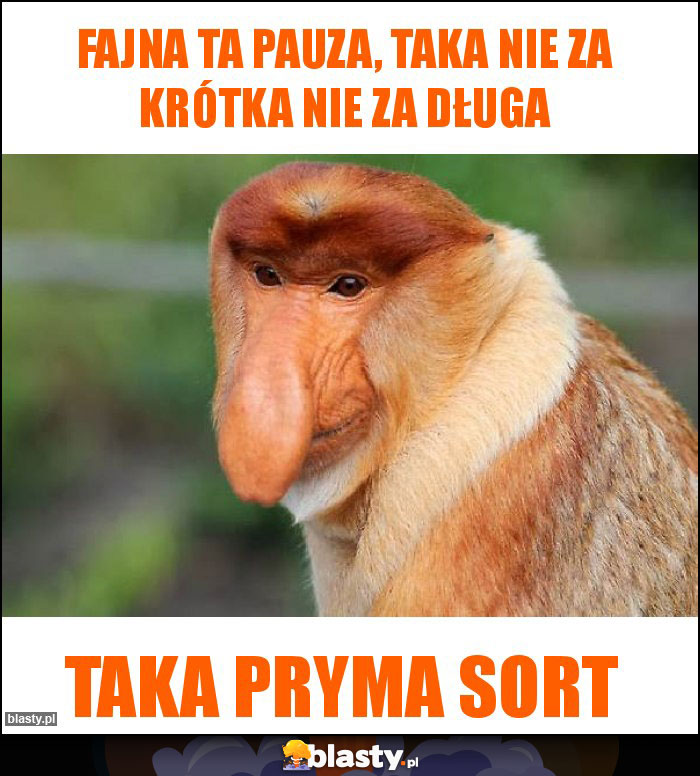Fajna ta pauza, taka nie za krótka nie za długa Fajna ta pauza, taka nie za krótka nie za długa